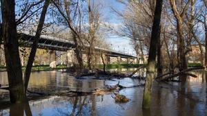 El Ebro a su paso por Logroño.