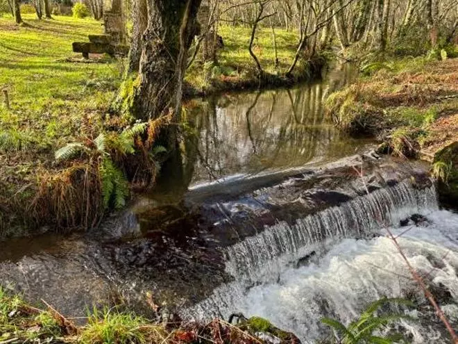Un colorido paseo entre el silencio del arboreto de Begonte