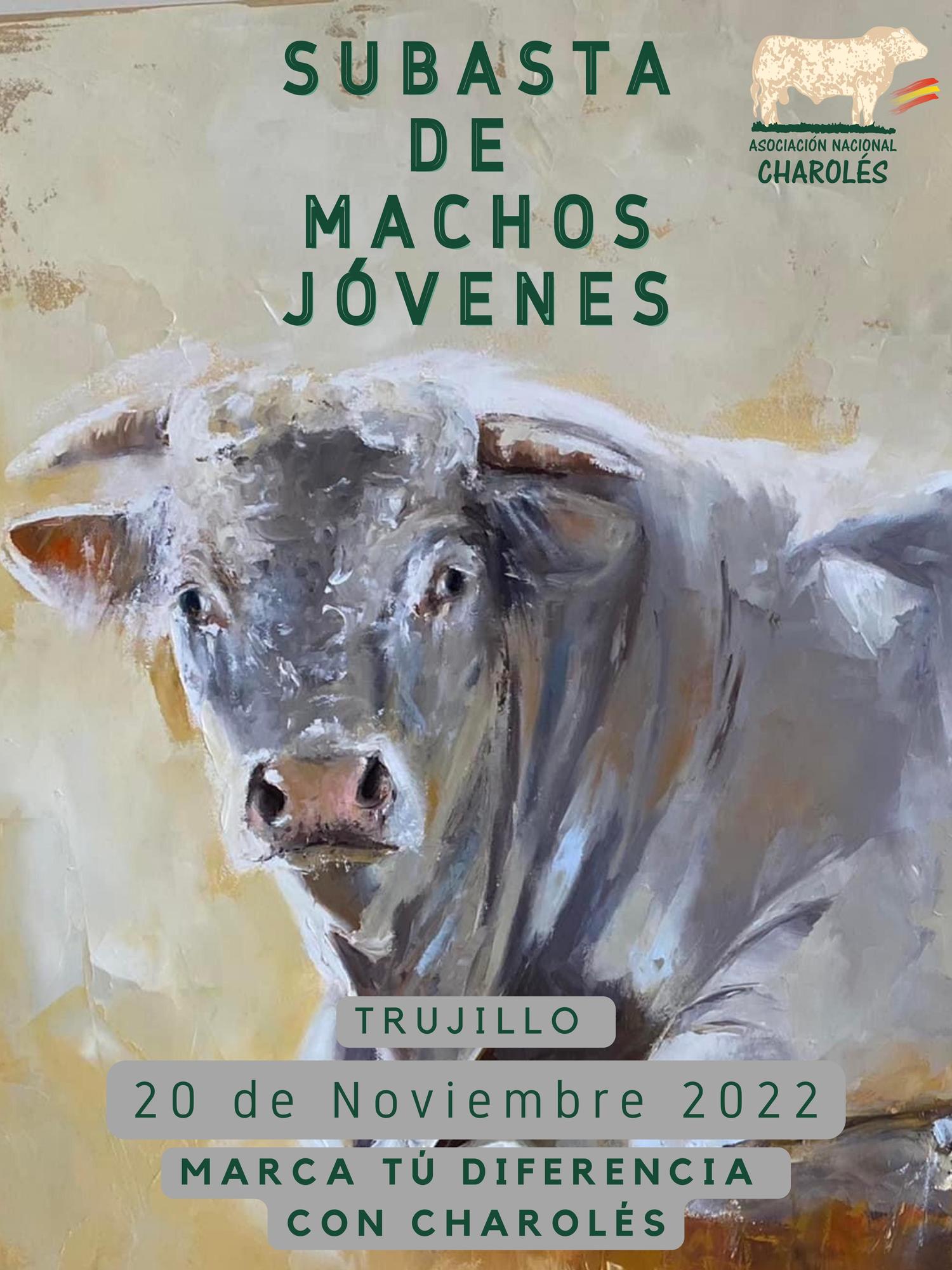 Cartel de la Subasta de Machos Jóvenes de la Asociación Nacional de Charolés en la Agroganadera de Trujillo.