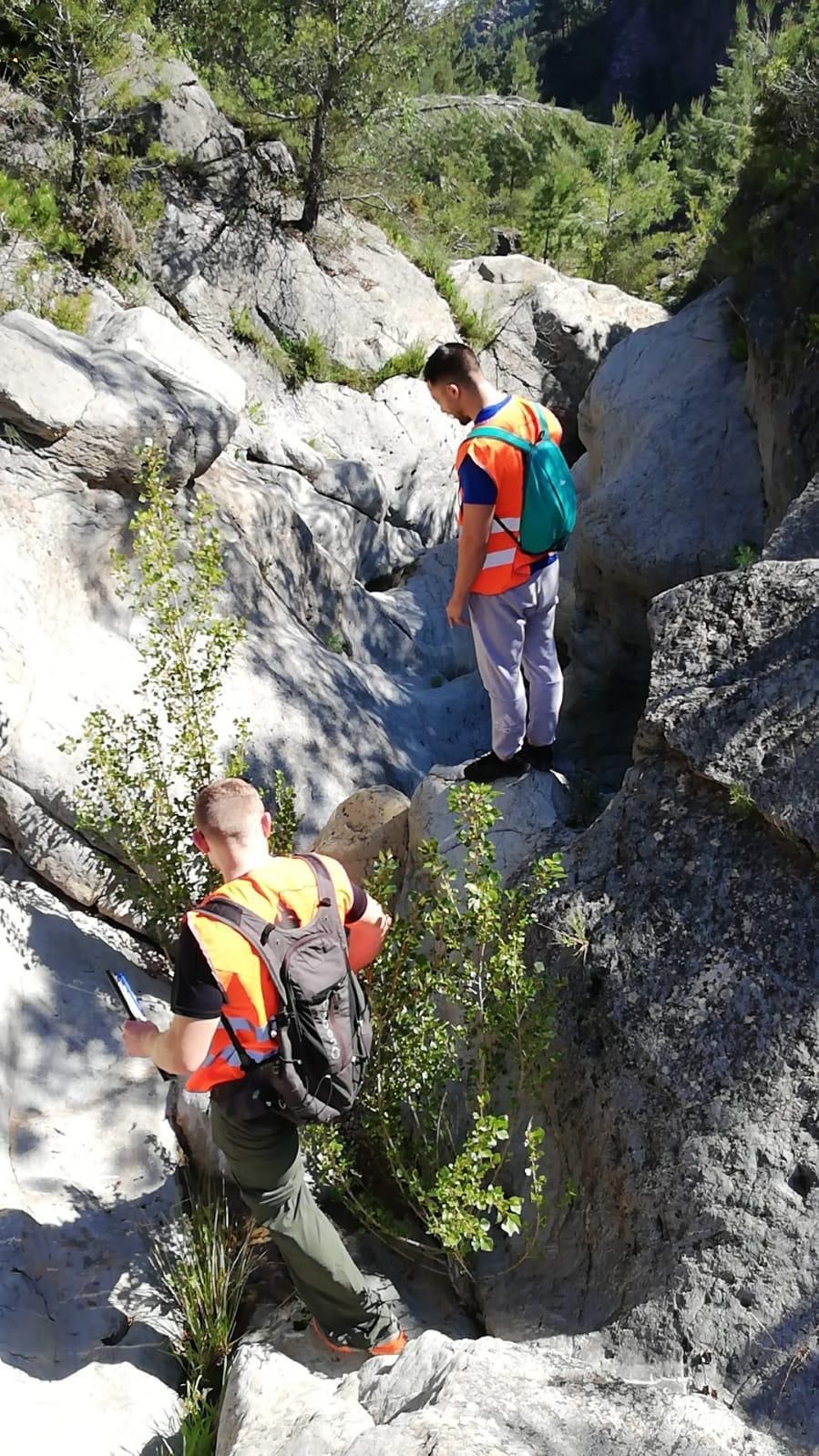 Los trabajos sirven para evaluar el potencial de la Serra d&#039;Espadà como hábitat idóneo para acoger linces.