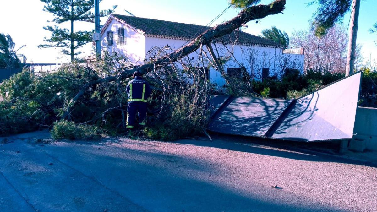 Lorca cierra los parques, jardines y Las Alamedas por el viento