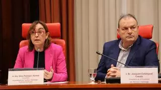 Junts exige la dimisión de Paneque por el caos de Rodalies y la "estafa" del traspaso