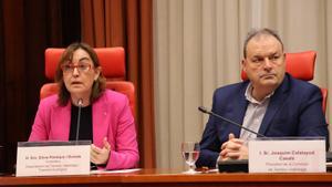 La consellera Sílvia Paneque durante su comparecencia en la comisión de Territori