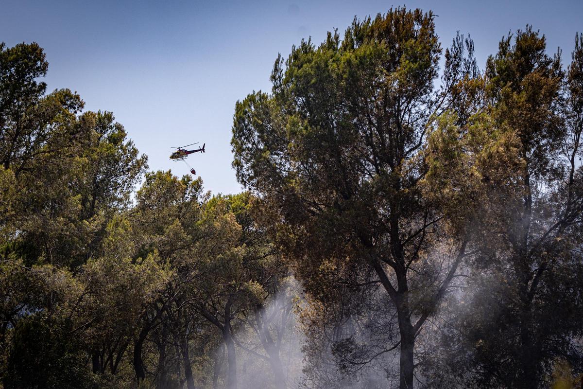 Los Bombers confían en perimetrar pronto el incendio forestal en Gavà que ha obligado a confinar a 6.000 personas