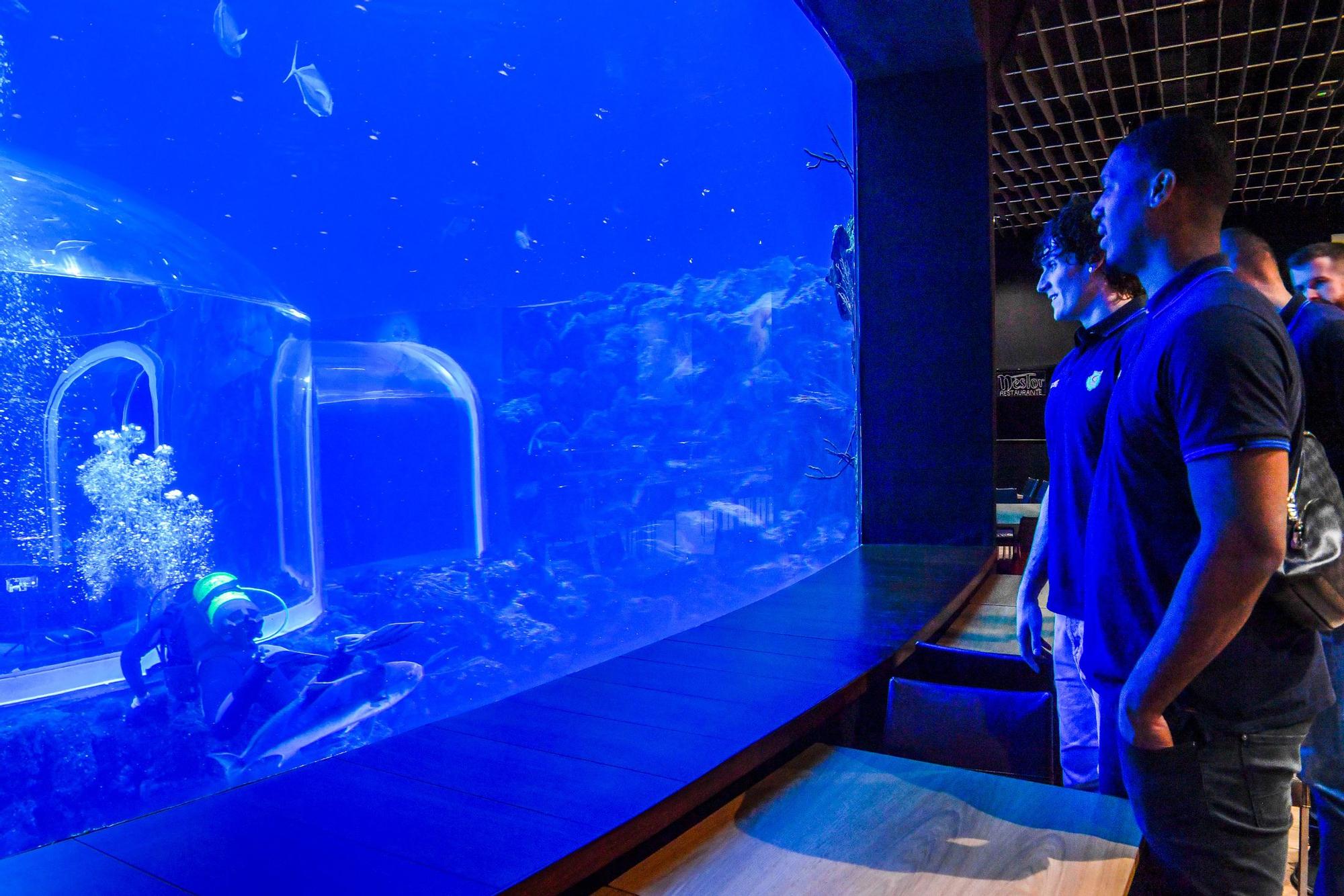 Los jugadores del CB Gran Canaria visitan el acuario Poema del Mar