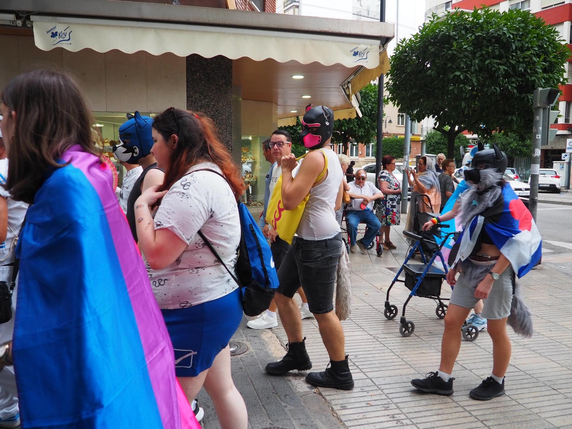 Así ha sido la manifestación del orgullo LGTBI en Alzira
