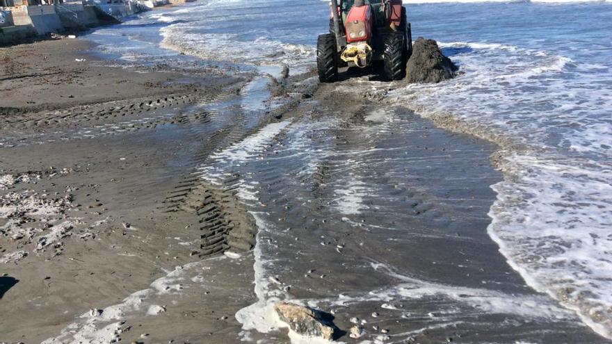 Una máquina extiende la arena en la playa. A la derecha, la arena y la Posidonia.