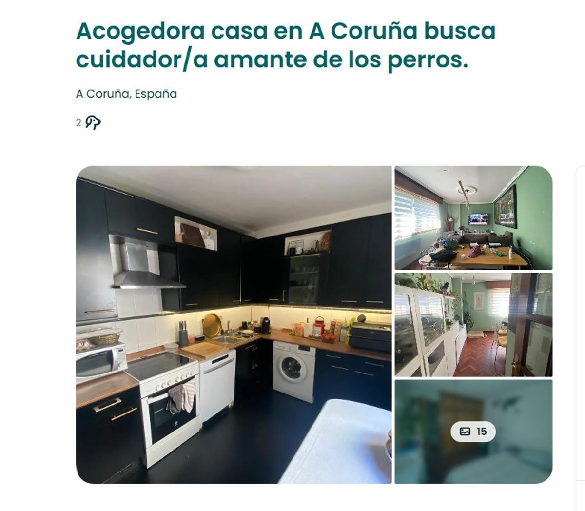 Oferta en A Coruña