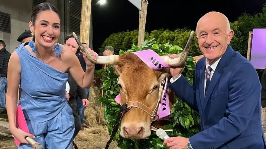Recta final para decidir quién será 'Miss Vaca 2025': la candidata de A Coruña es la más veterana de este año