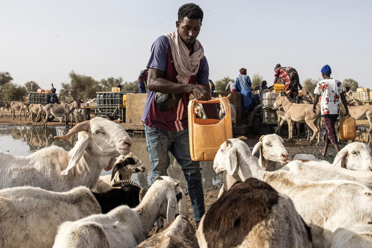 Calor extremo en la región de Matam, en el noroeste de Senegal