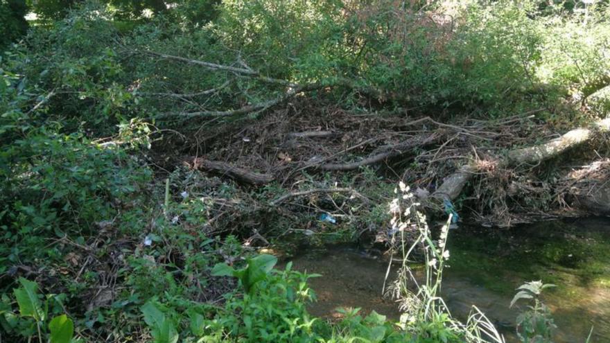 Vecinos de Conxo reclaman la limpieza del cauce del río Sar