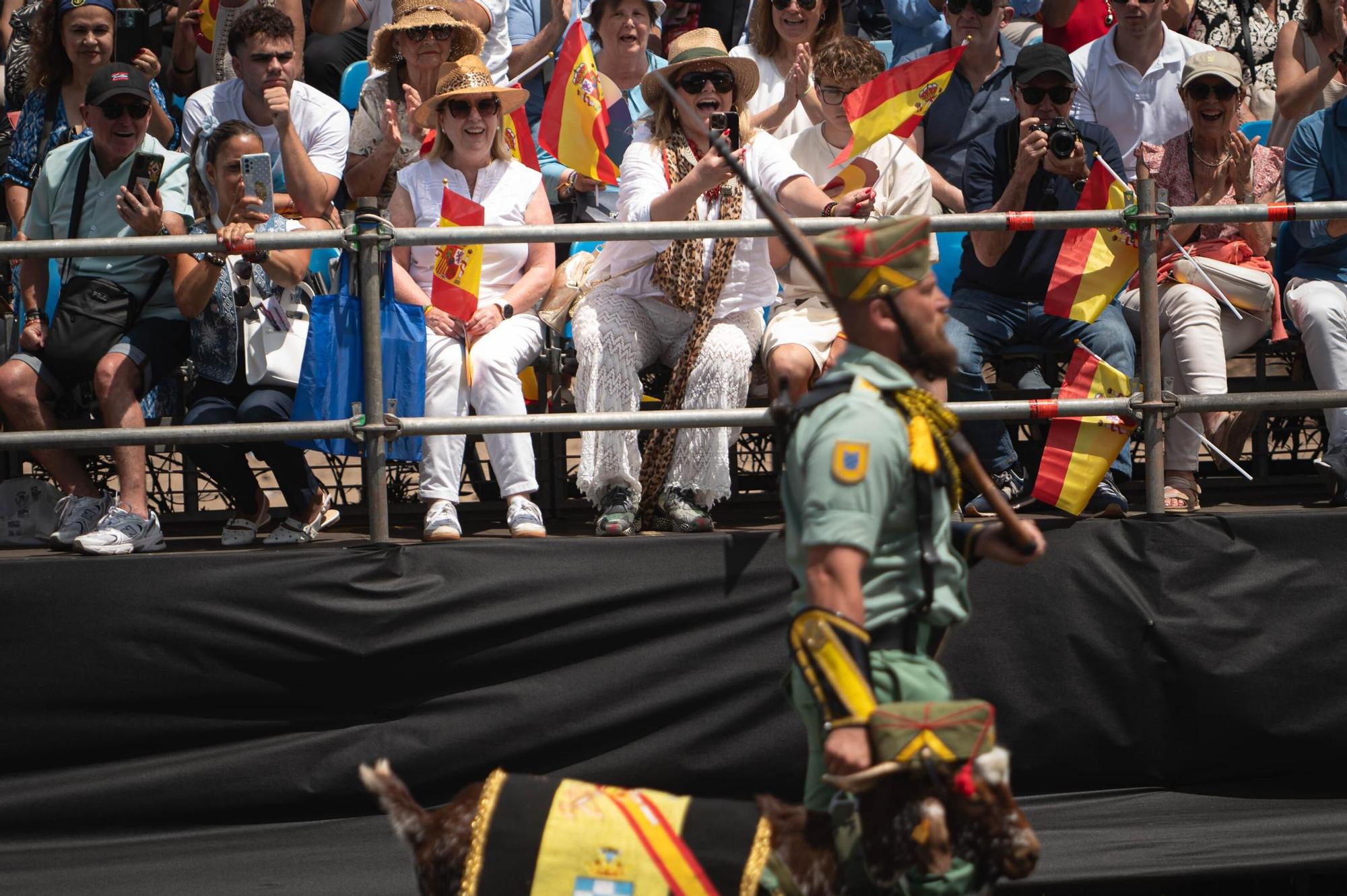 Las mejores imágenes del desfile militar de las Fuerzas Armadas en Tenerife con la presencia de Sus Majestades los Reyes