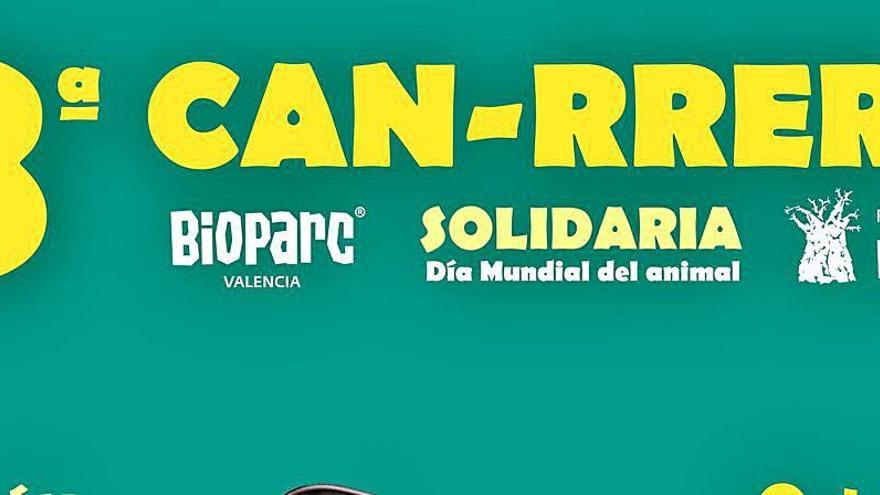 8ª Can-rrera solidaria de BIOPARC Valencia