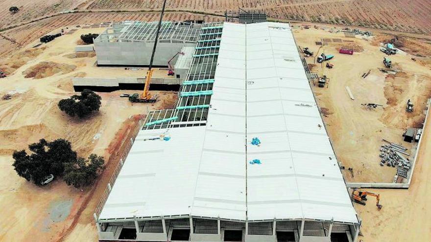 Construcción de la nueva almazara del Grupo De Prado en la localidad portuguesa de Vendinha, que prevé entrar en funcionamiento a finales de octubre.