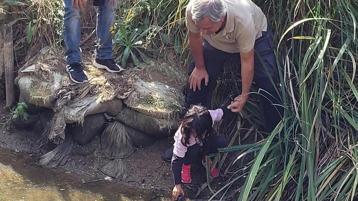 Alliberament de tortugues, diumenge al parc.