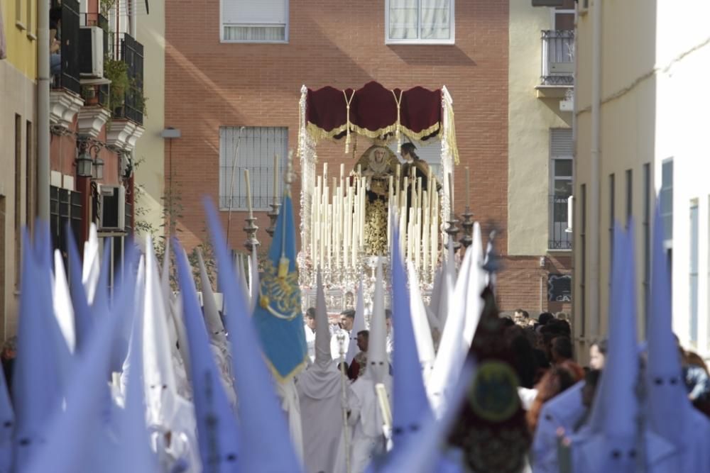 Domingo de Ramos | Salutación