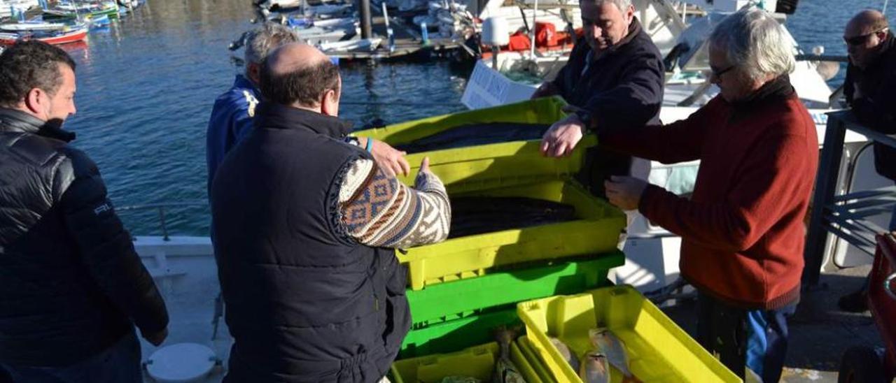 La tripulación del &quot;Nuevo Bosco&quot; y personal de la cofradía lastrina, desembarcando la mercancía ayer, antes de la subasta.