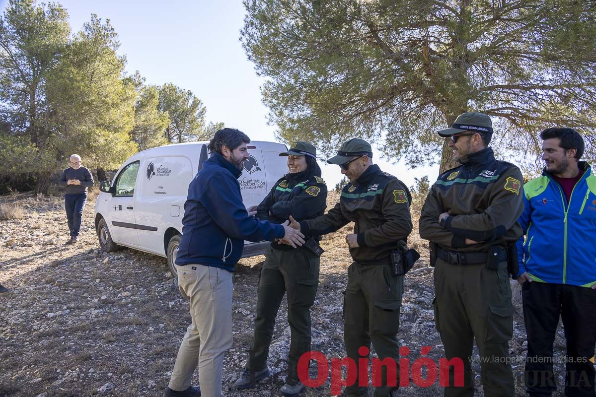 Suelta de dos buitres leonados en la Sierra de Mojantes en Caravaca