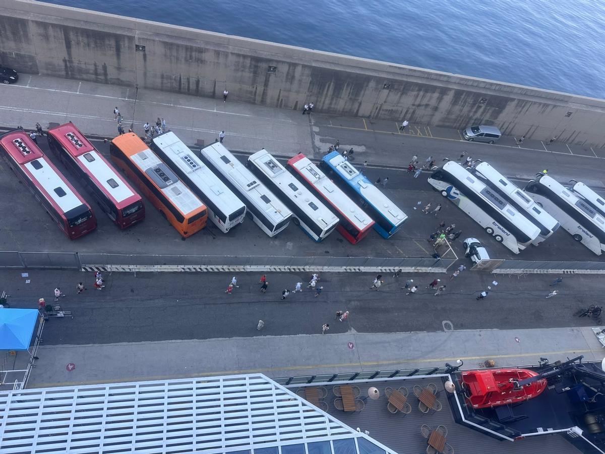 Sobald die Flow anlegt warten schon die ersten Reisebusse Abfahrtbereit am Kai - hier in Civitavecchia