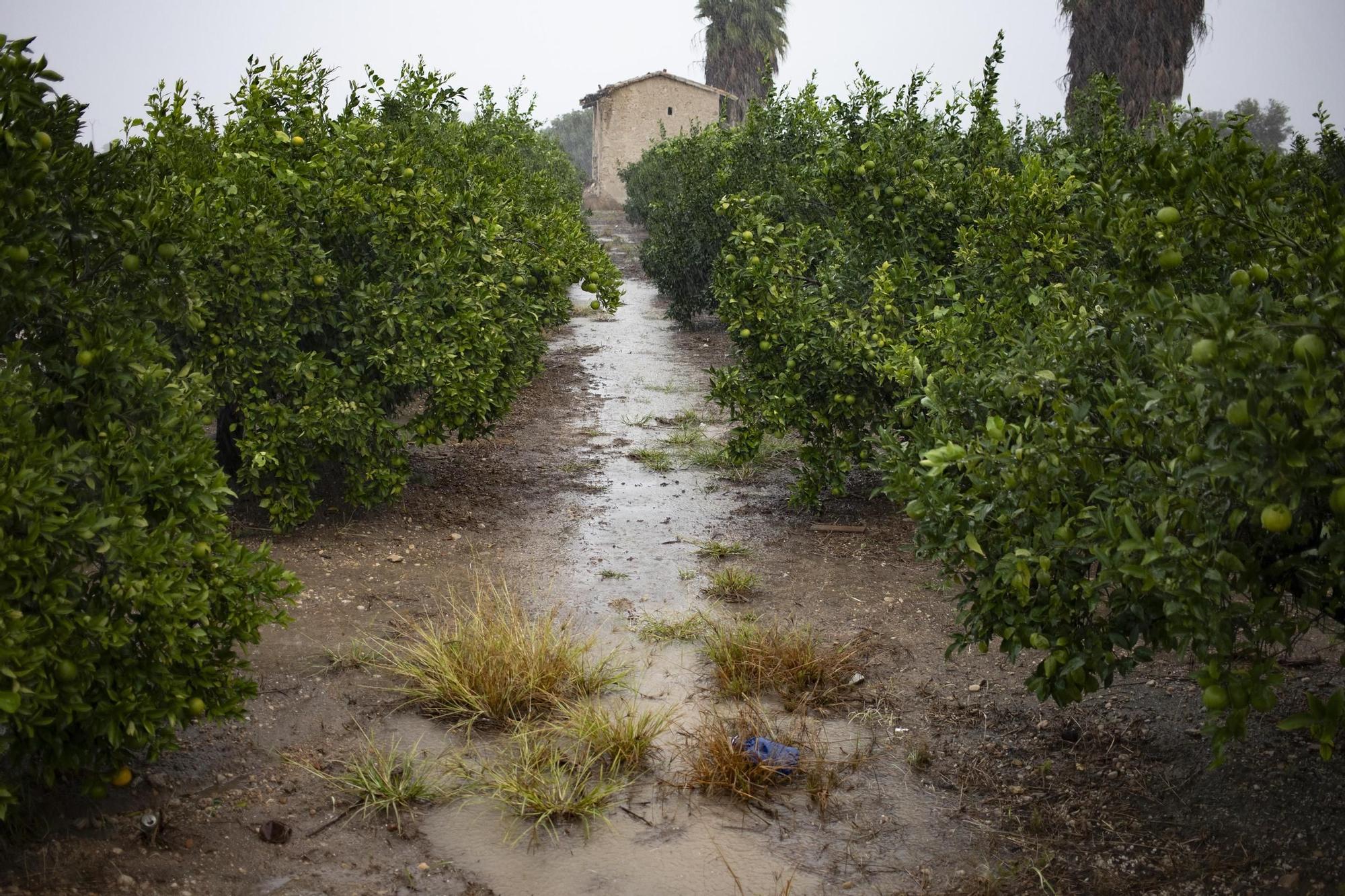 Galería: La lluvia descarga con fuerza en Xàtiva