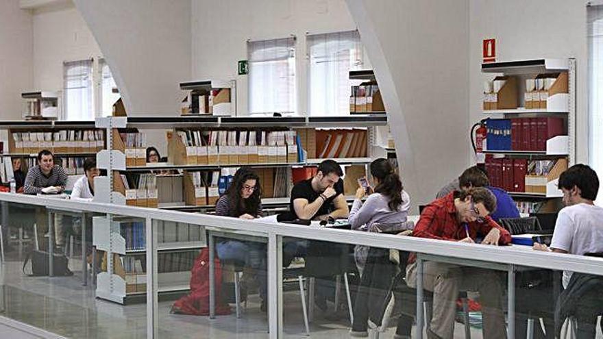 Alumnos del Campus estudian en la Biblioteca Claudio Rodríguez.