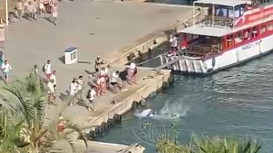 Varios turistas se lanzan al mar en el Muelle de las Golondrinas de Palma