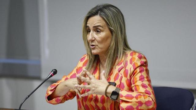 La ministra d’Educació, Formació Professional i Esports, Milagros Tolón, en una recent compareixença pública. EFE / Rodrigo Jiménez