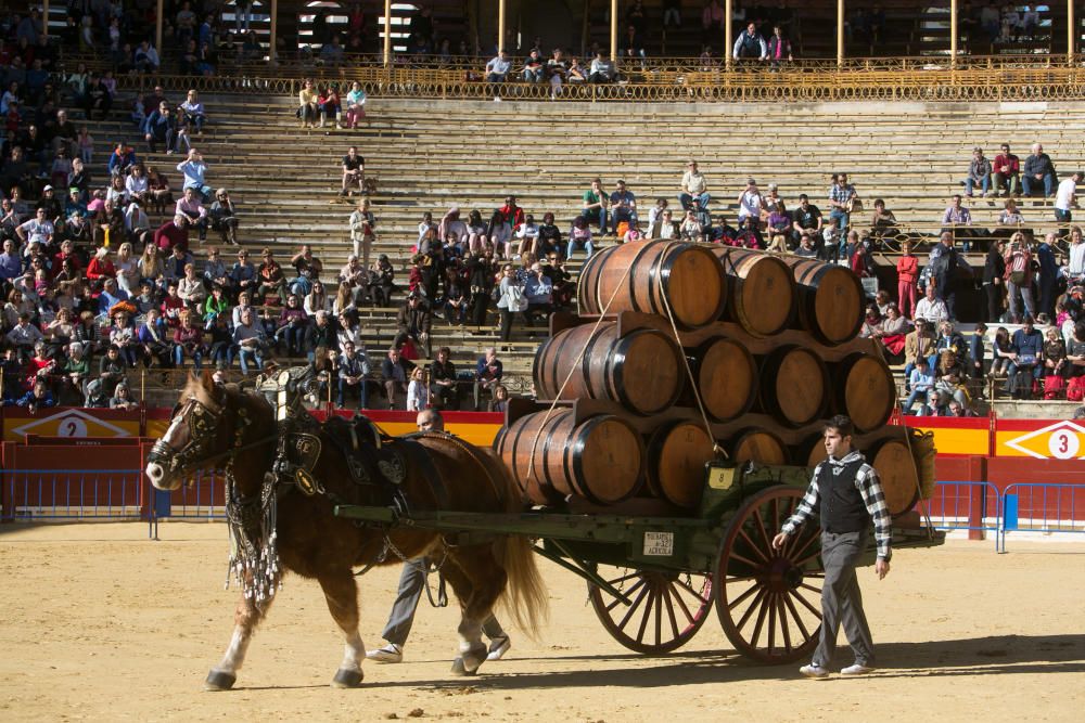 Bendición de los animales por el día de San Antón