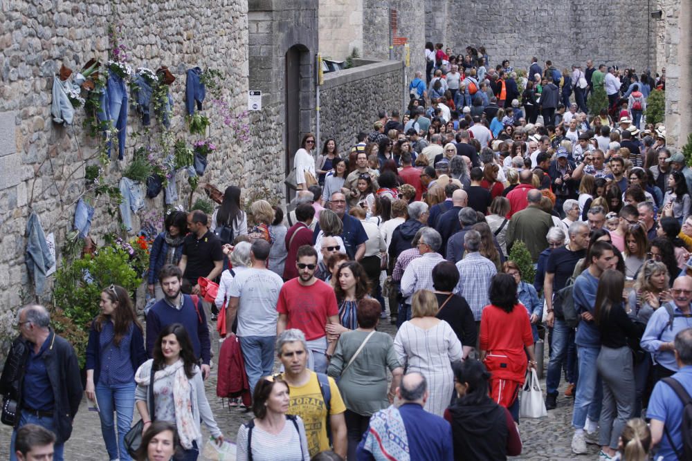 Girona, Temps de Flors 2019