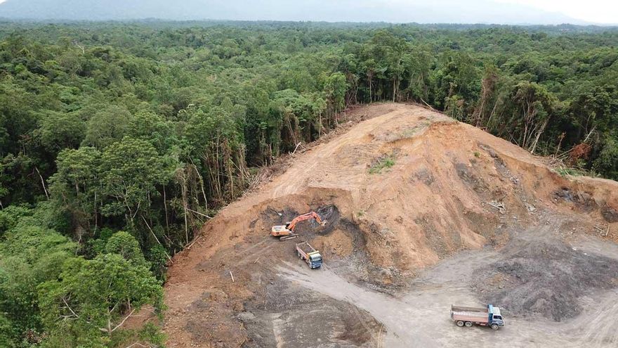 Acuerdo de un centenar de países para revertir la deforestación en esta década