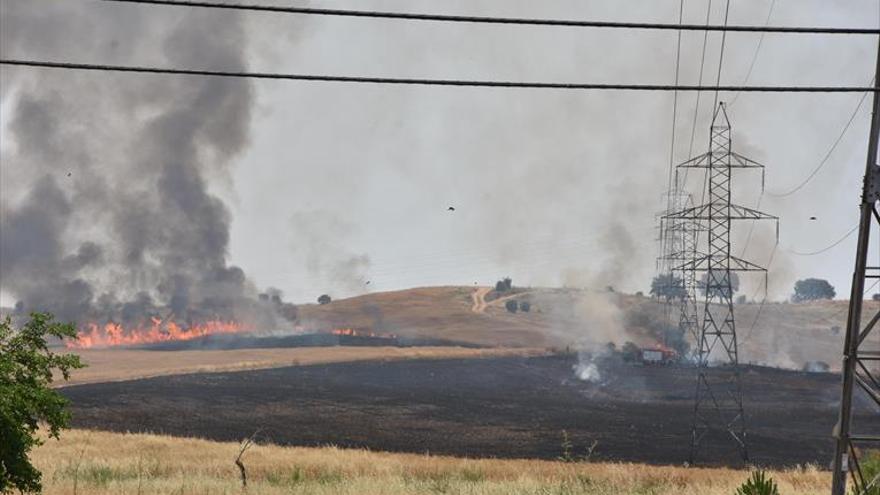Arden 40 hectáreas en la carretera de Olivenza