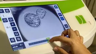 Un nuevo método aumenta en un 60 % el éxito de embarazos en alicantinas con dificultades