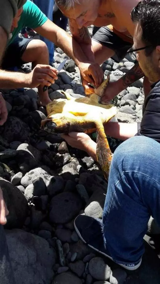 La vivencia de un bañista en la playa del Agujero de Gáldar