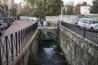 Los regantes negocian con Canals y l’Alcúdia una mejora en el caudal del Sants