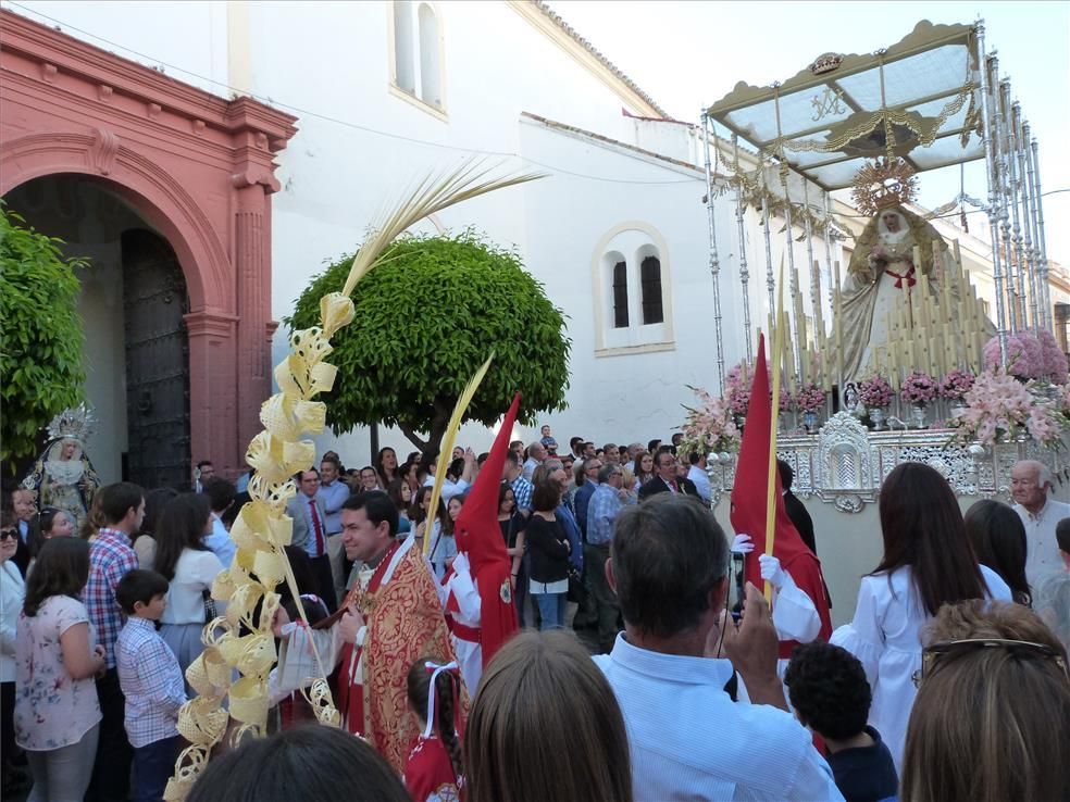 FOTOGALERÍA / El Domingo de Ramos en la provincia