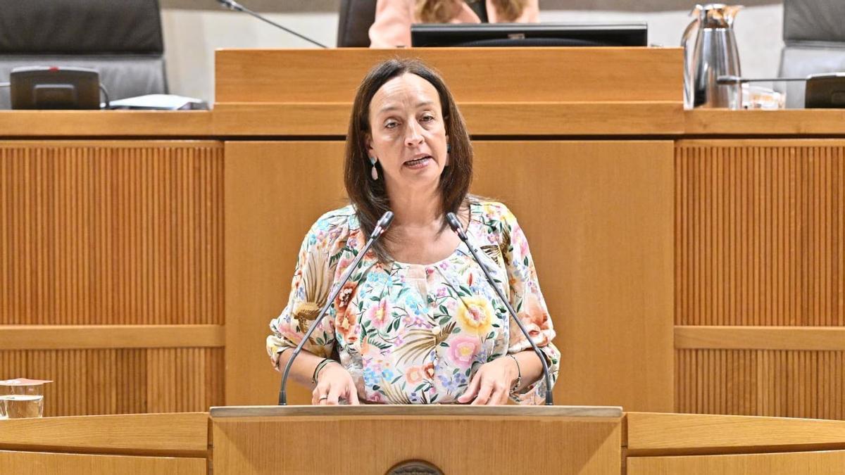 La consejera de Educación, Carmen Susín, este jueves en el pleno de las Cortes de Aragón.