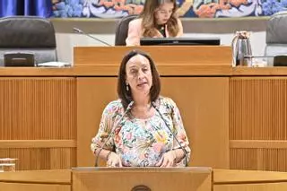 Susín defiende "la libertad de elección" en un tenso debate con la izquierda por la concertación del Bachillerato