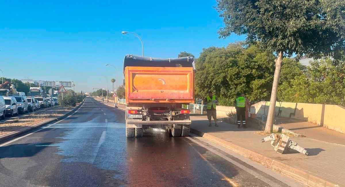 Camión gasoil carretera