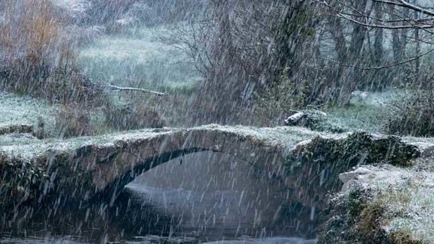 Nevada en A Ponte Ferreira, en Lugo, esta mañana. // EFE