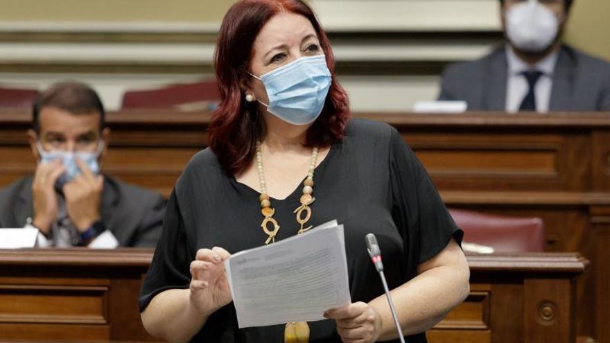 La consejera Manuela Armas durante su comparecencia en el Parlamento de Canarias. | | E.D.