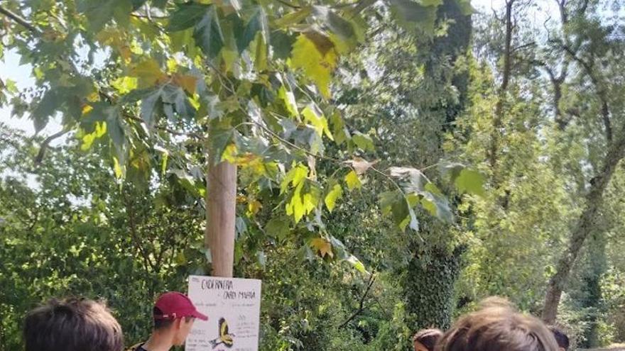 Els nois i noies del casal la Geneta donen vida a una ruta ecològica a Sant Daniel amb plafons fets a mà