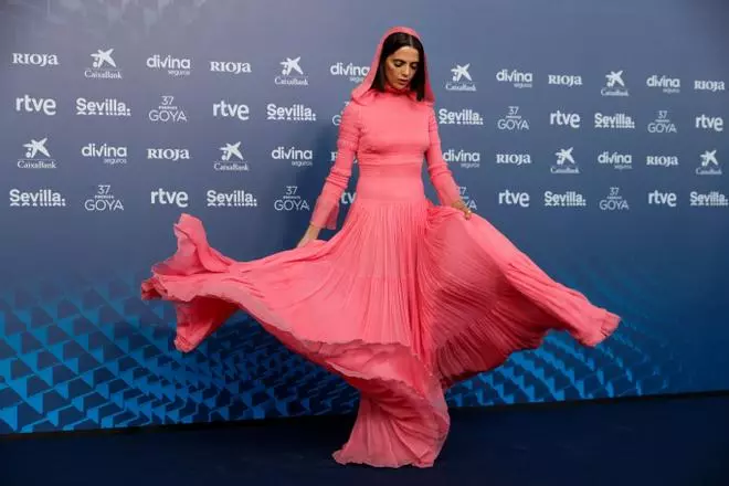 La alfombra roja de los Goya, en imágenes