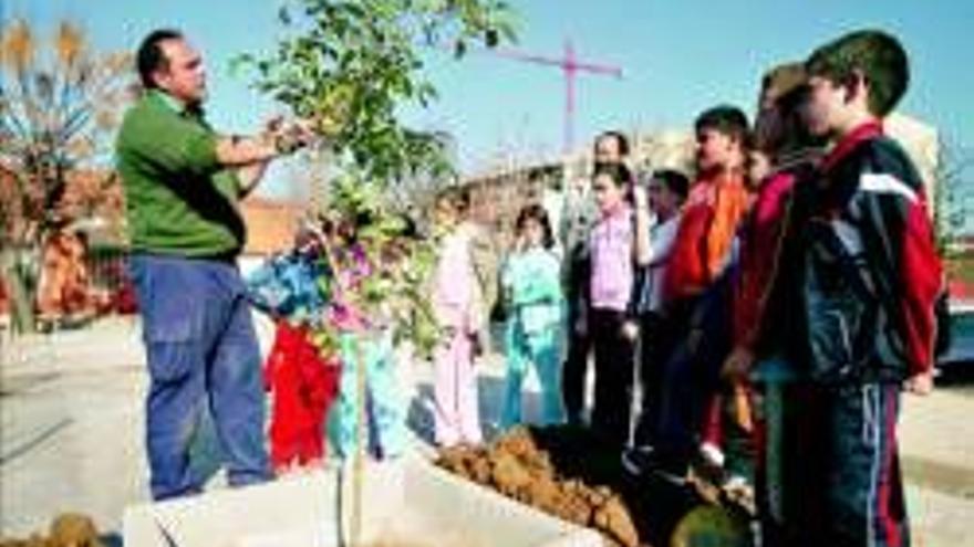 Los alumnos del Manuel Pacheco plantan árboles