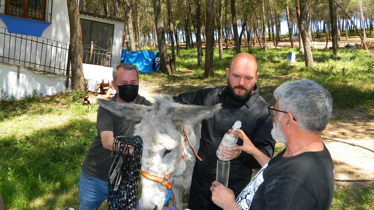 El Niño de Elche bautizó a un burrito con el nombre de Excluido.