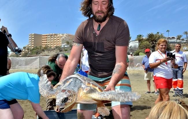 18/03/2016 PLAYA DEL INGLES, SAN BARTOLOME DE TIRAJANA. Suelta de tortugas bobas en Playa del Ingles. Foto: SANTI BLANCO