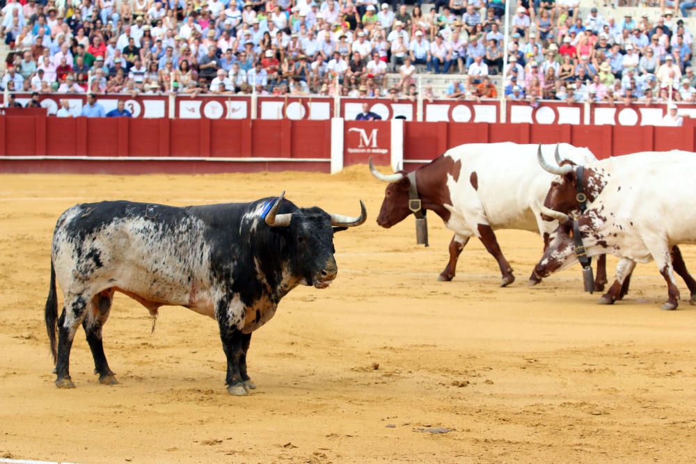 Las imágenes de la tercera corrida de abono de la feria taurina de Málaga en La Malagueta.