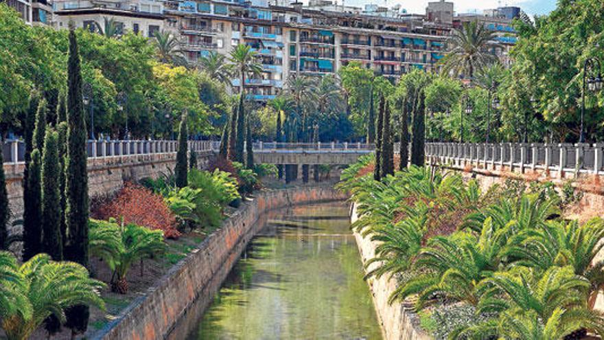 El torrente de sa Riera transcurre en su tramo final por el paseo Mallorca, pero no siempre fue así.