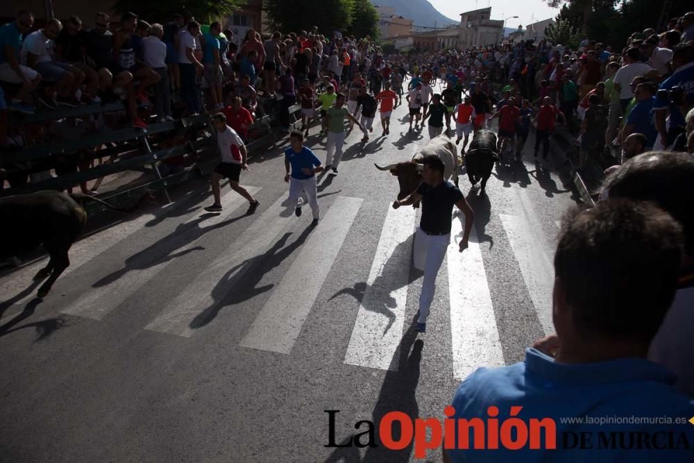 Segundo encierro de Calasparra