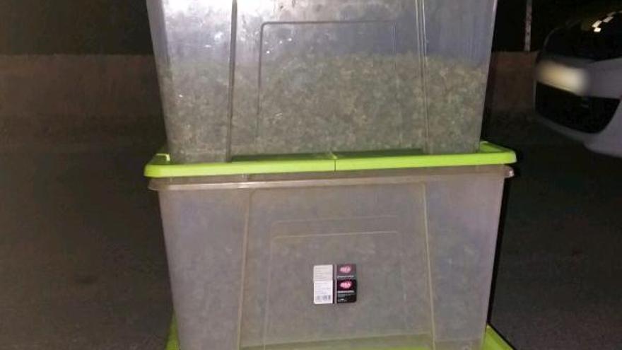 La Policía Local de Elche interviene más de cinco kilos de marihuana en el Llano de San José