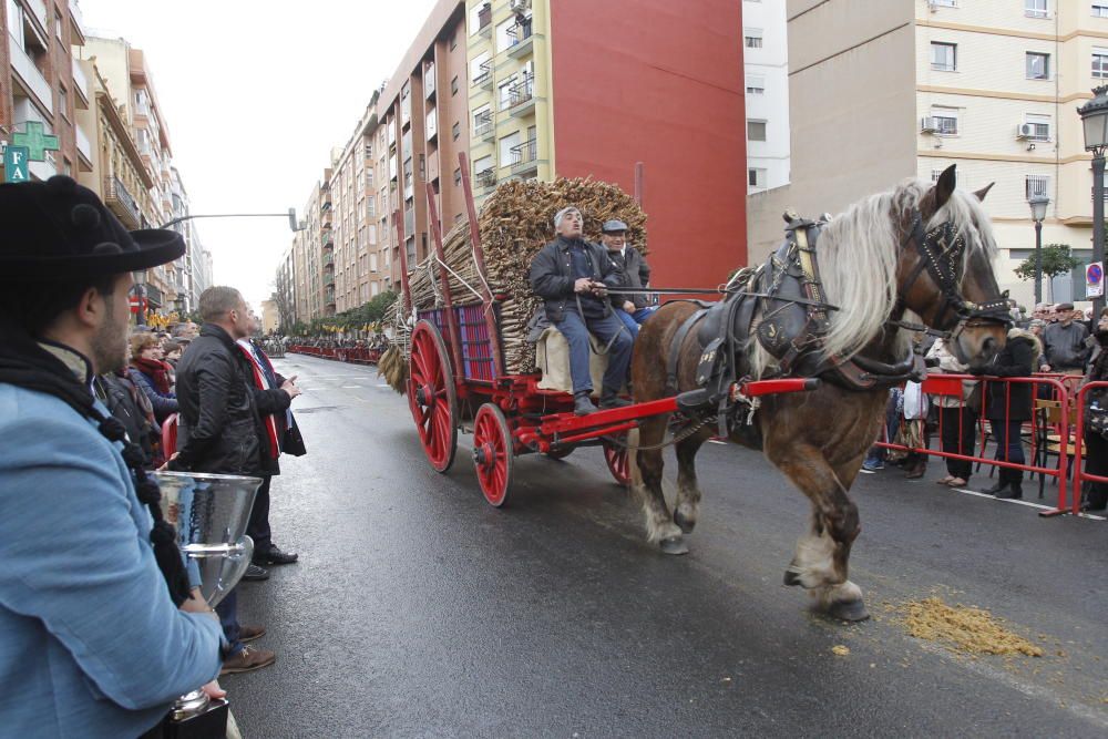 Sant Antoni en Valencia 2017